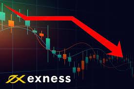 Explore Exness Educational Resources for Traders Explore Exness Educational Resources for Traders